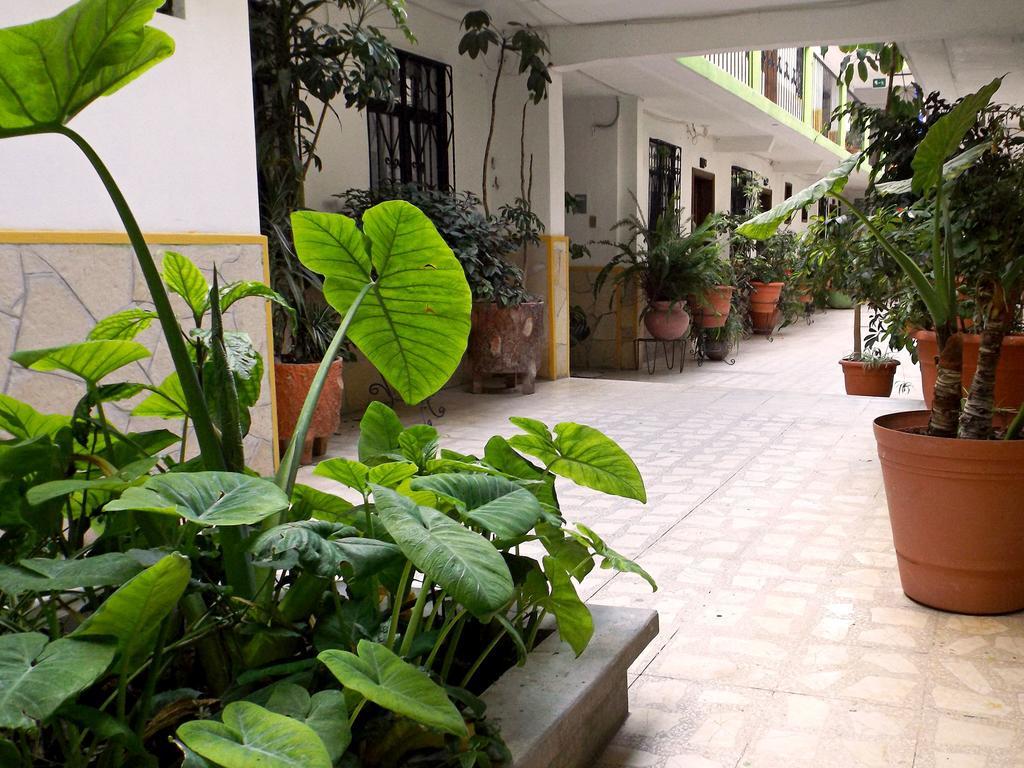 Hotel Posada Las Casas San Cristóbal de Las Casas 외부 사진